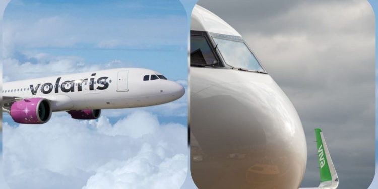 Viva-Volaris pone a prueba a la Comisión Antimonopolio de la 4T