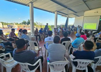 Audiencia sólo por Zoom, responde ministra «del pueblo» a mayas