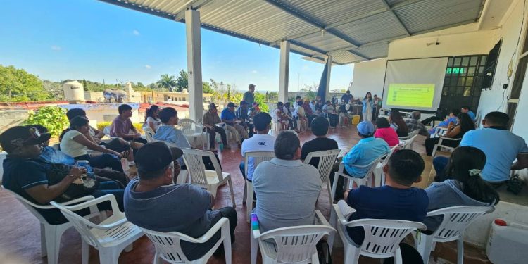 Audiencia sólo por Zoom, responde ministra «del pueblo» a mayas